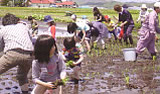住宅生協